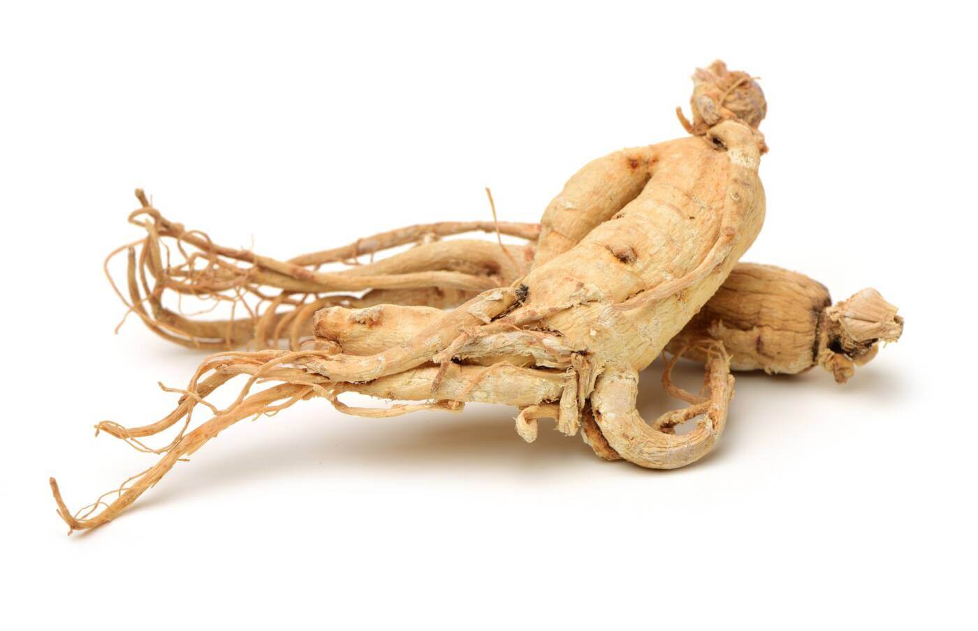 You are currently viewing Ginseng