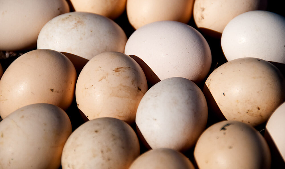 Read more about the article Treenistä syömään