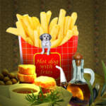 Hill’s – funktionaalista ruokalääkintääkö?