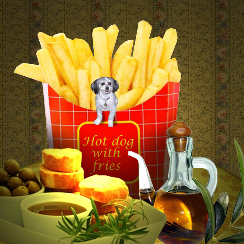 You are currently viewing Hill’s – funktionaalista ruokalääkintääkö?