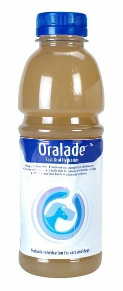 Read more about the article Oralade