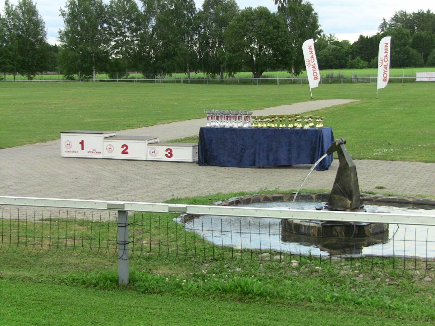 Read more about the article Kartanon Kannu 2011, englanninvinttikoirat