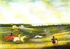 Read more about the article Coursingin historia