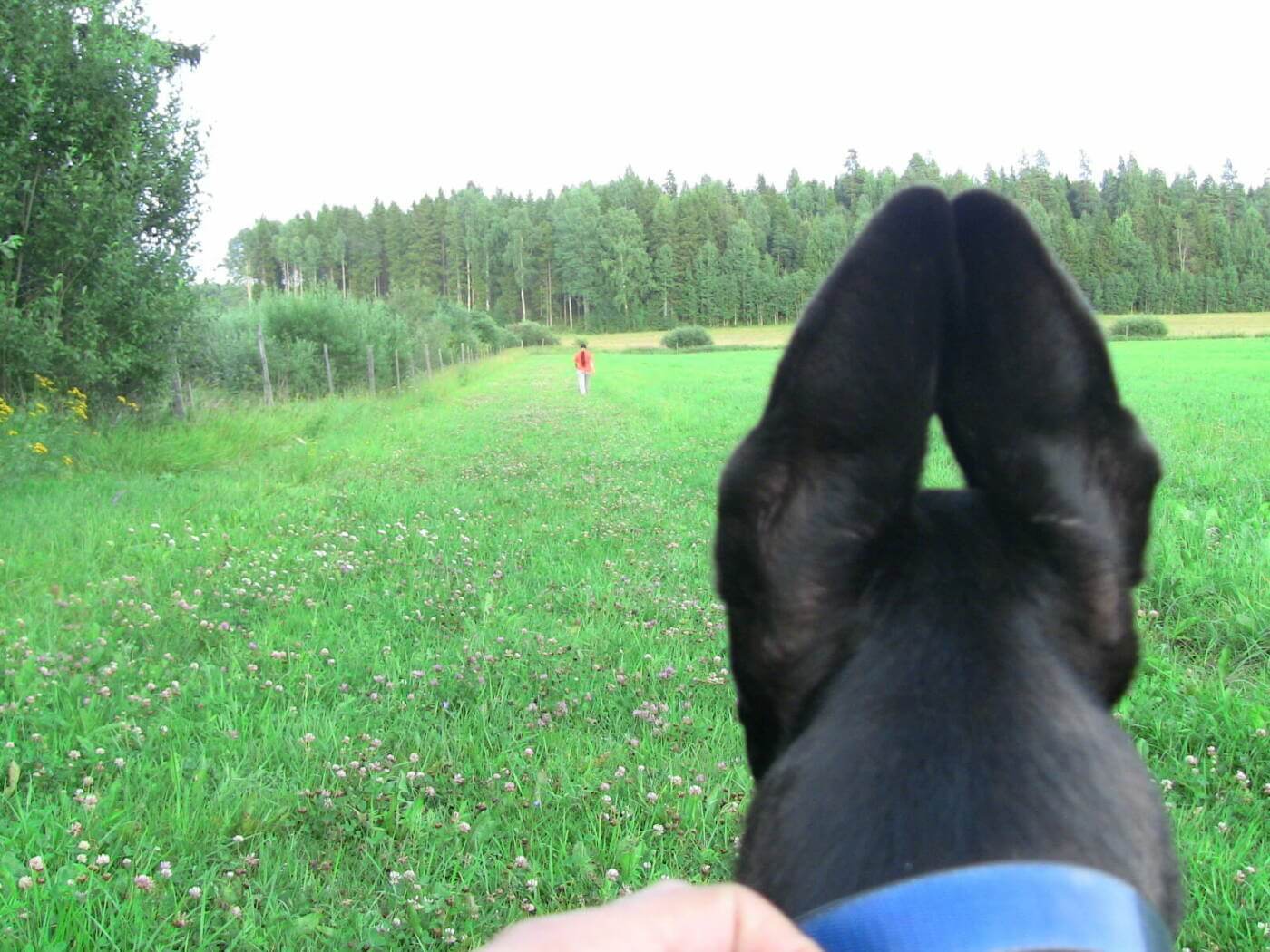 Read more about the article Ehjänä eläkkeelle