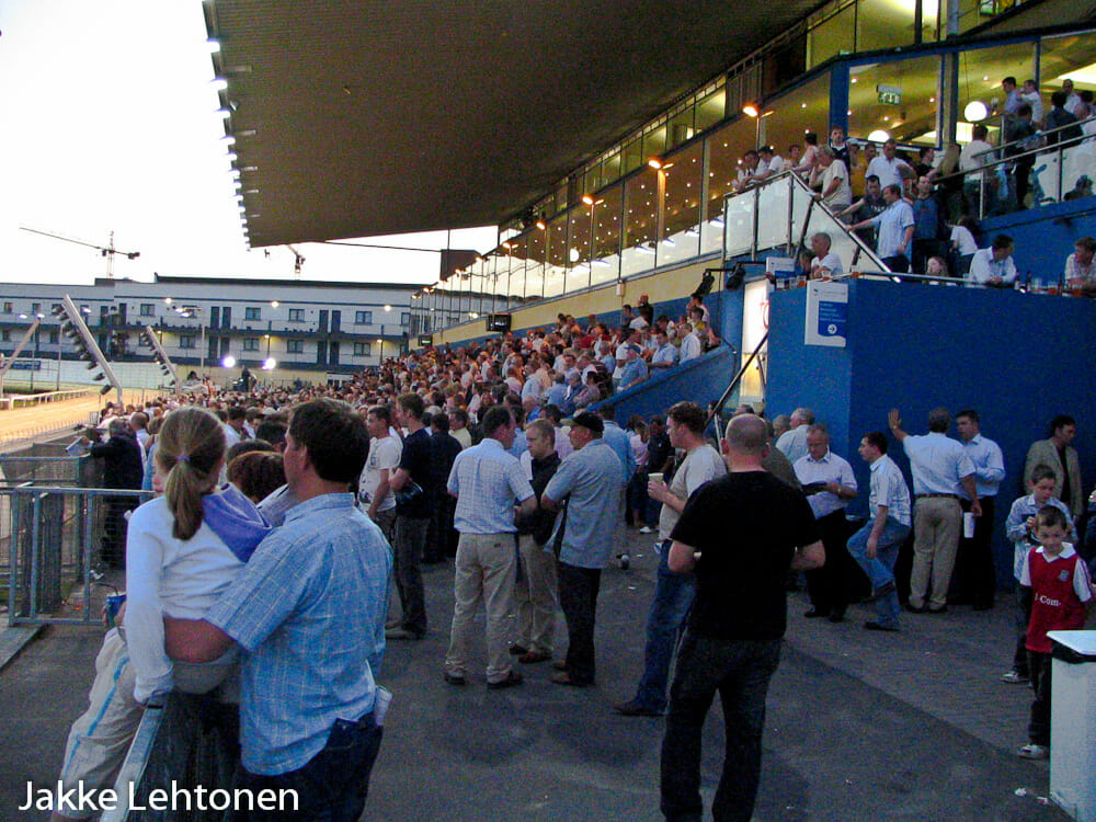 Read more about the article Greyhound-faktaa Irlannista