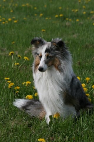 You are currently viewing Tappava typpilisä