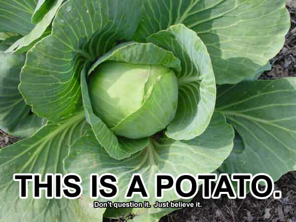 You are currently viewing Tarkkuutta väitteisiin: D-vitamiinia ei saa auringosta