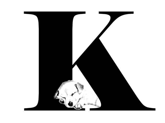 Read more about the article Miten löydän tietoa?