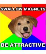 Ruokintaneuvojen järki ja järjettömyys