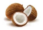 Kookosöljy koiran rasvanlähteenä