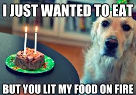 You are currently viewing Rautaa nirsoille