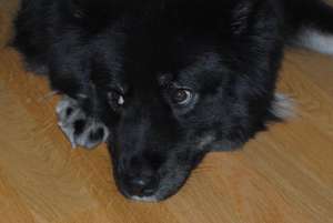 13320417_10154402997984734_2463286108997925588_o