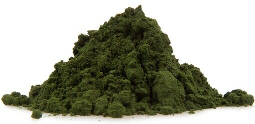 Read more about the article Spirulina