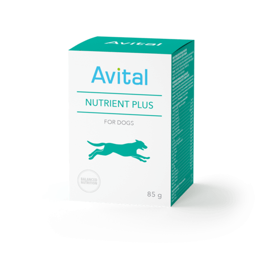 Read more about the article Avital Nutrient Plus