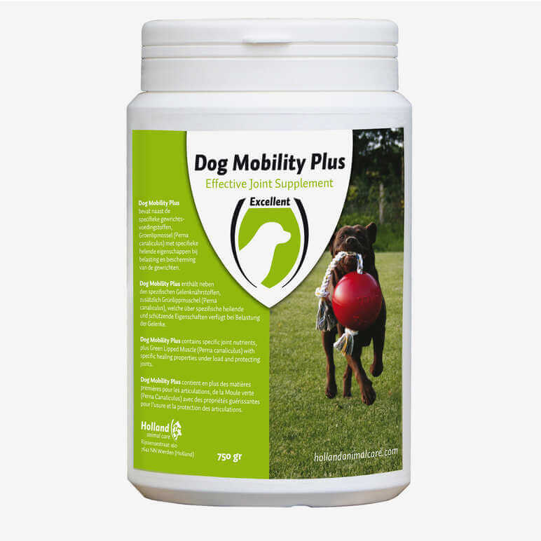 Read more about the article Dog Mobility Plus